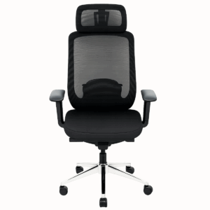 1 Fauteuil orthopédique VENUS